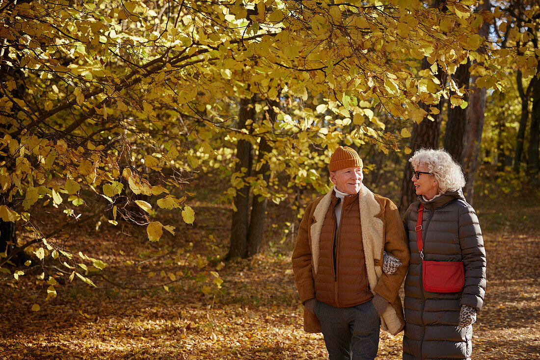 Senior couple walking in autumn park