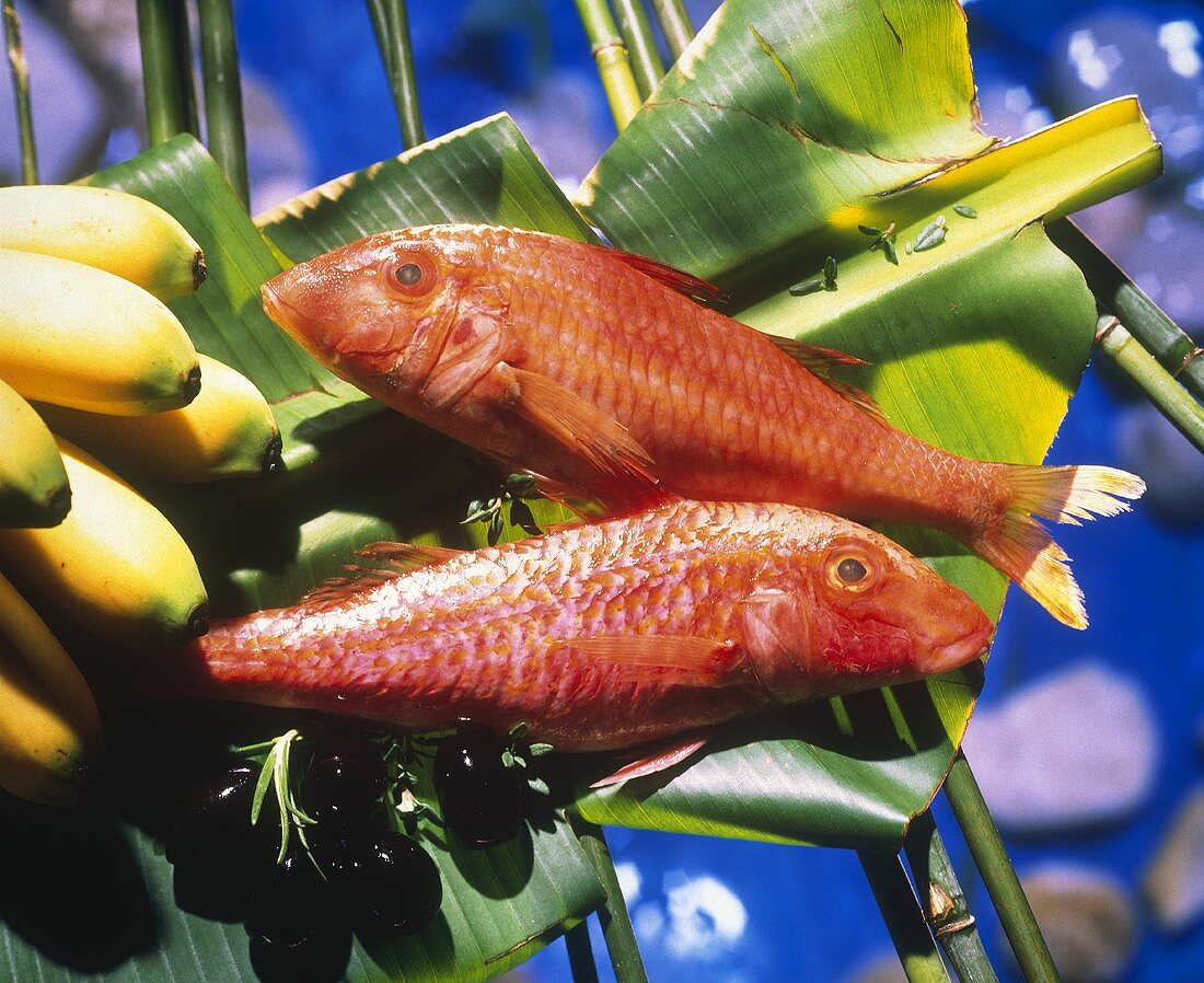 Two red snappers on banana leaves, olives & bananas beside
