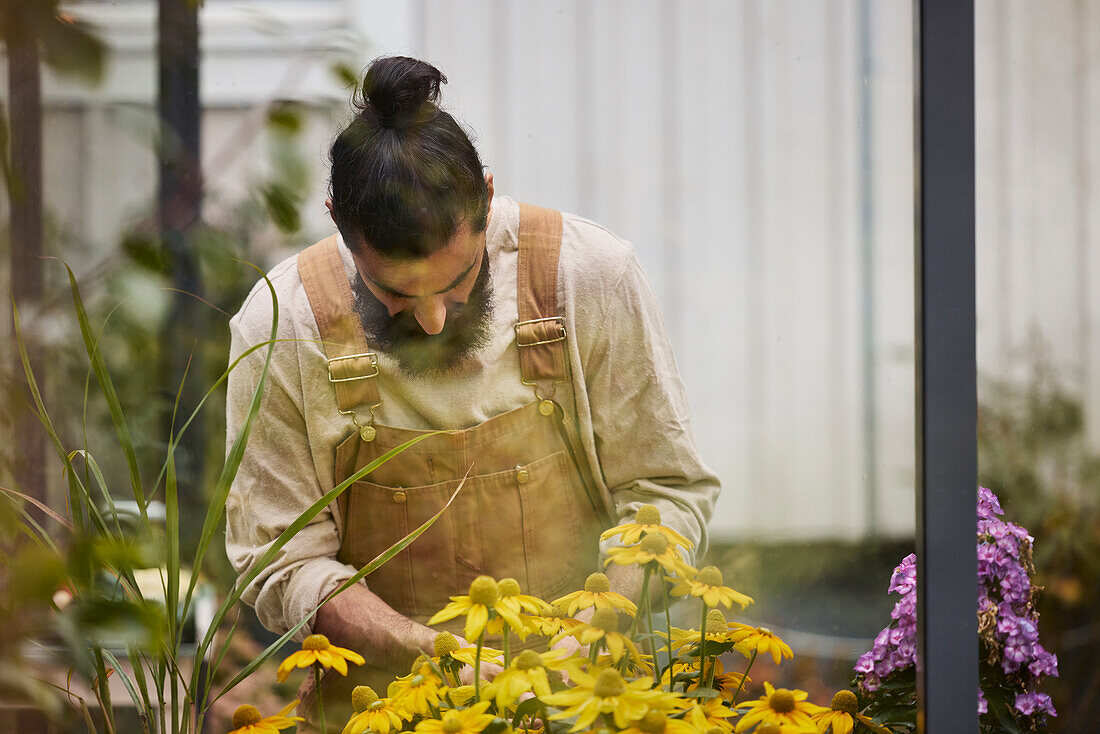 Man standing in greenhouse