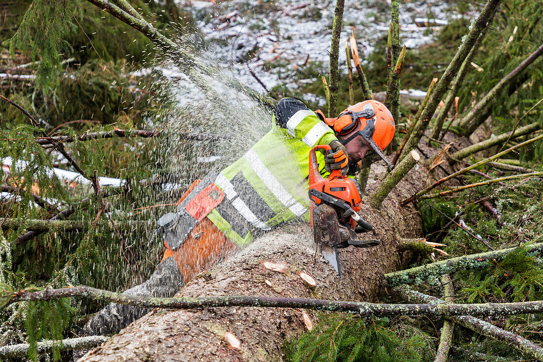 Holzfäller fällen Baum mit elektrischer Säge