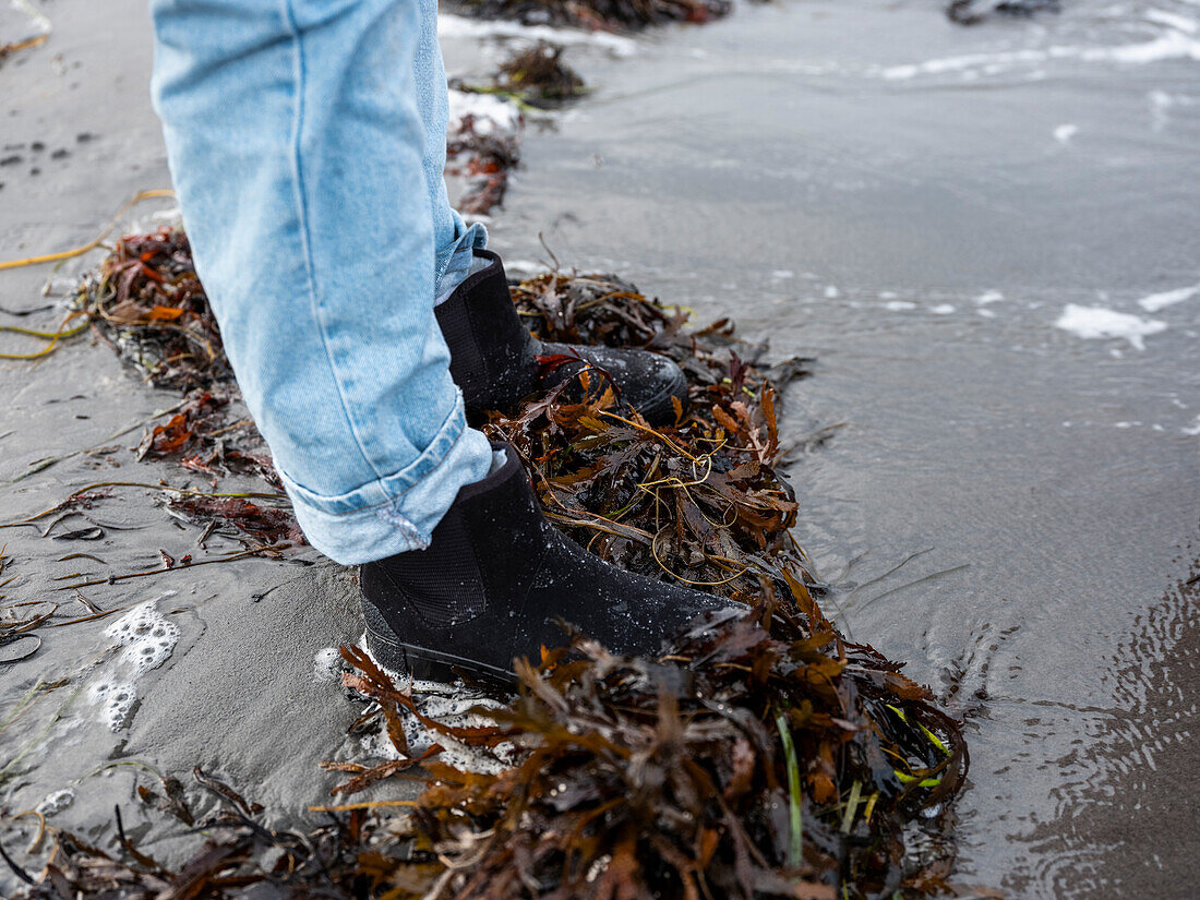 Person standing on seaweeds