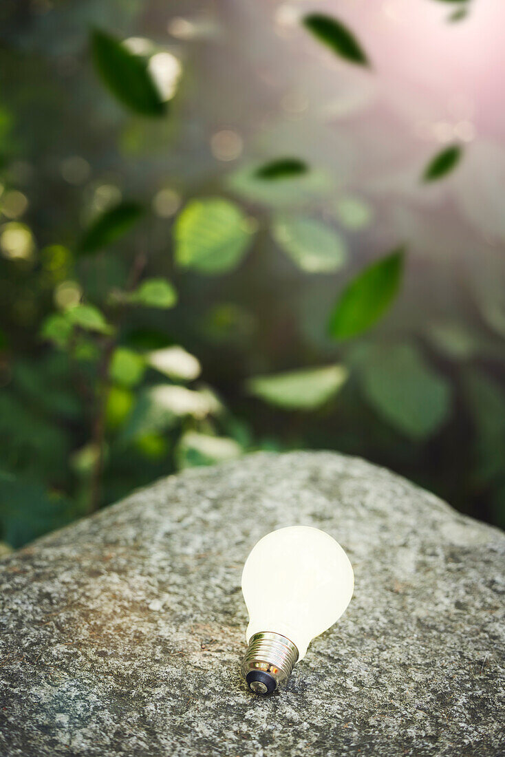 Beleuchtete Glühbirne auf einem Felsen