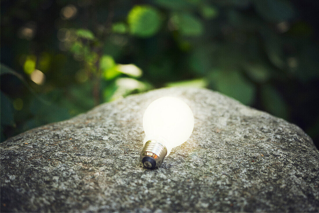 Illuminated light bulb on rock