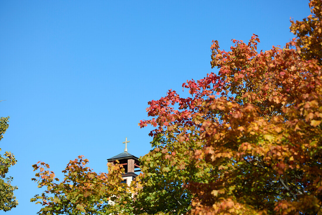 Autumn trees against blue sky