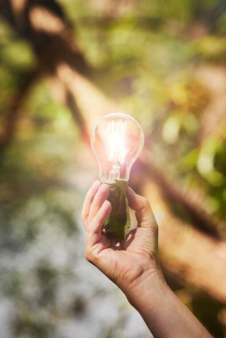 Hand holding lightbulb