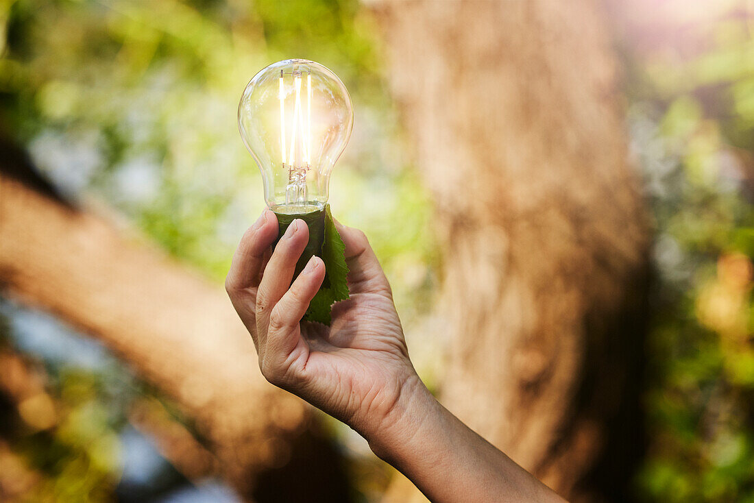 Hand holding lightbulb