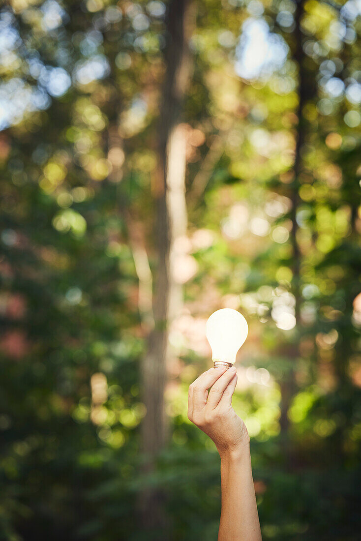 Hand holding lightbulb