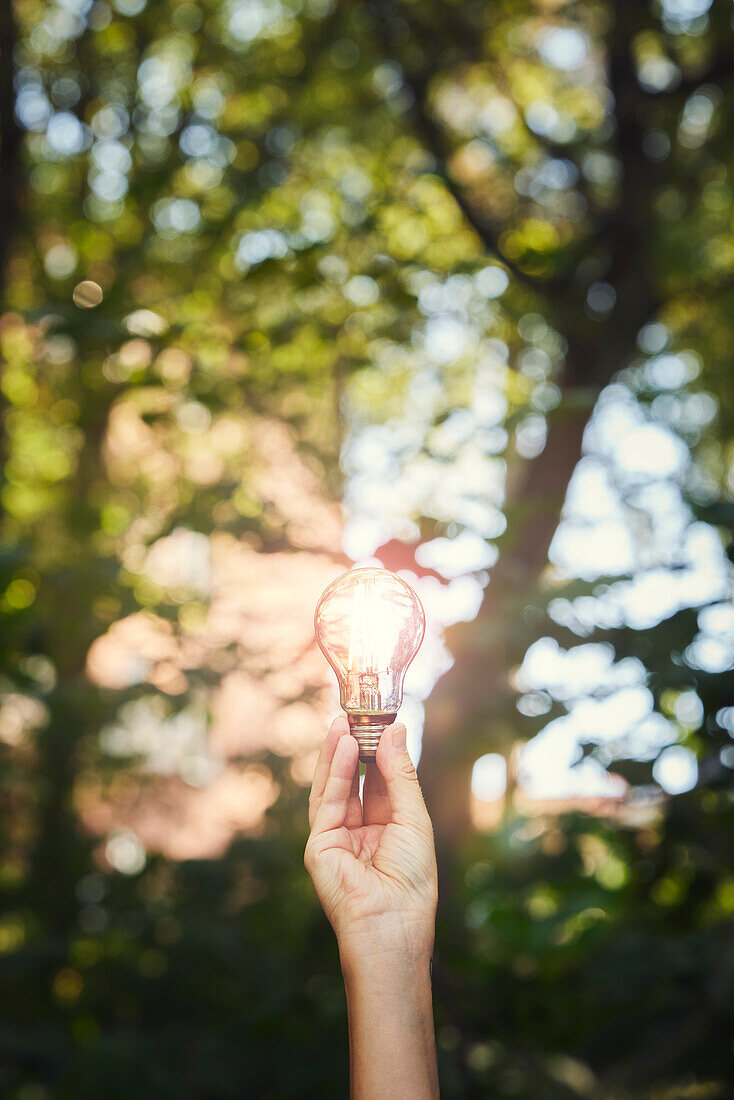 Hand holding lightbulb
