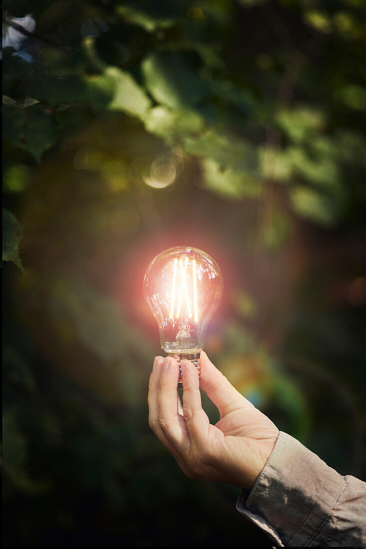 Hand holding lightbulb