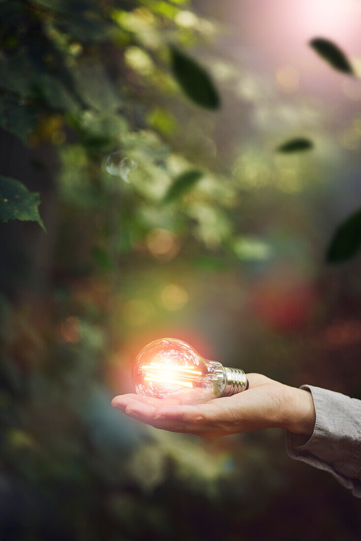 Illuminated lightbulb on hand