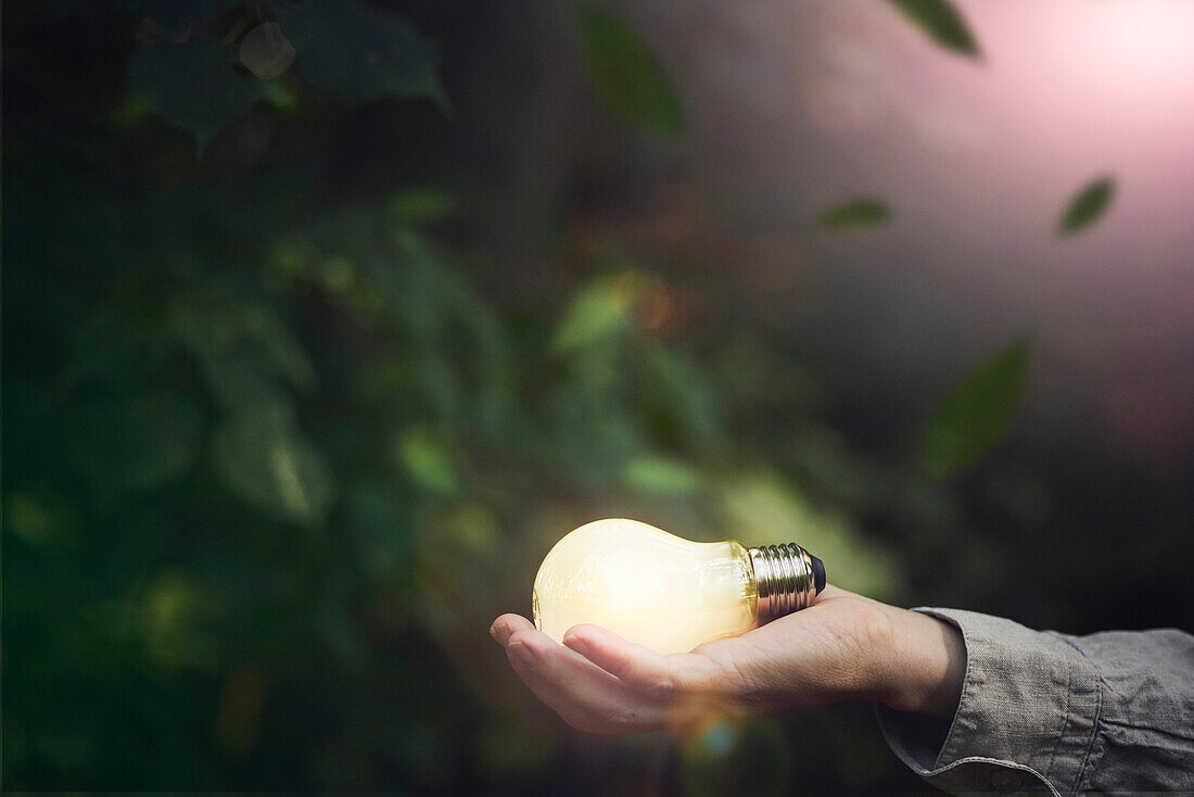 Hand holding lightbulb