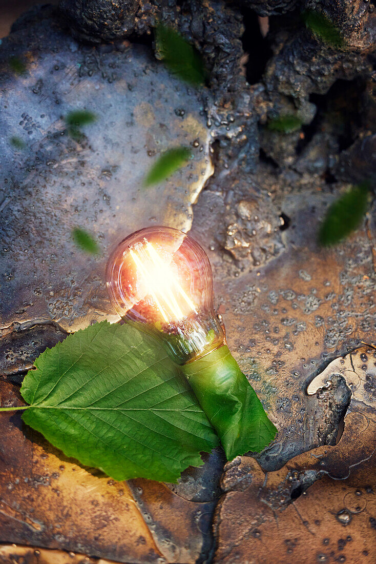 Illuminated light bulb on rock