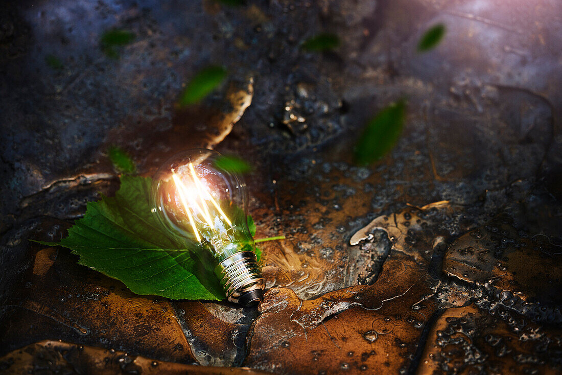 Illuminated light bulb on rock