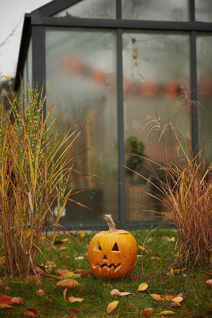 Geschnitzte Jack-o-Lantern im Garten