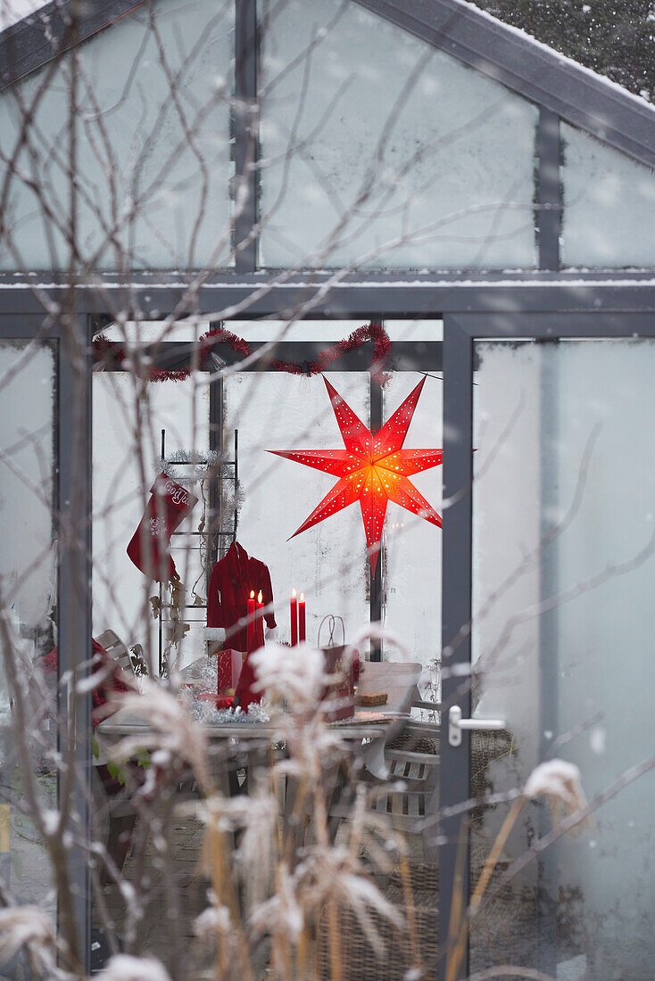 Red Christmas star and decorations in greenhouse