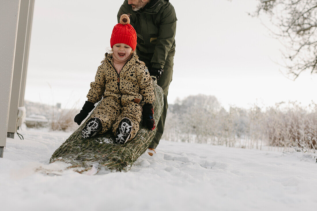 Parent pulling daughter sitting on Christmas tree