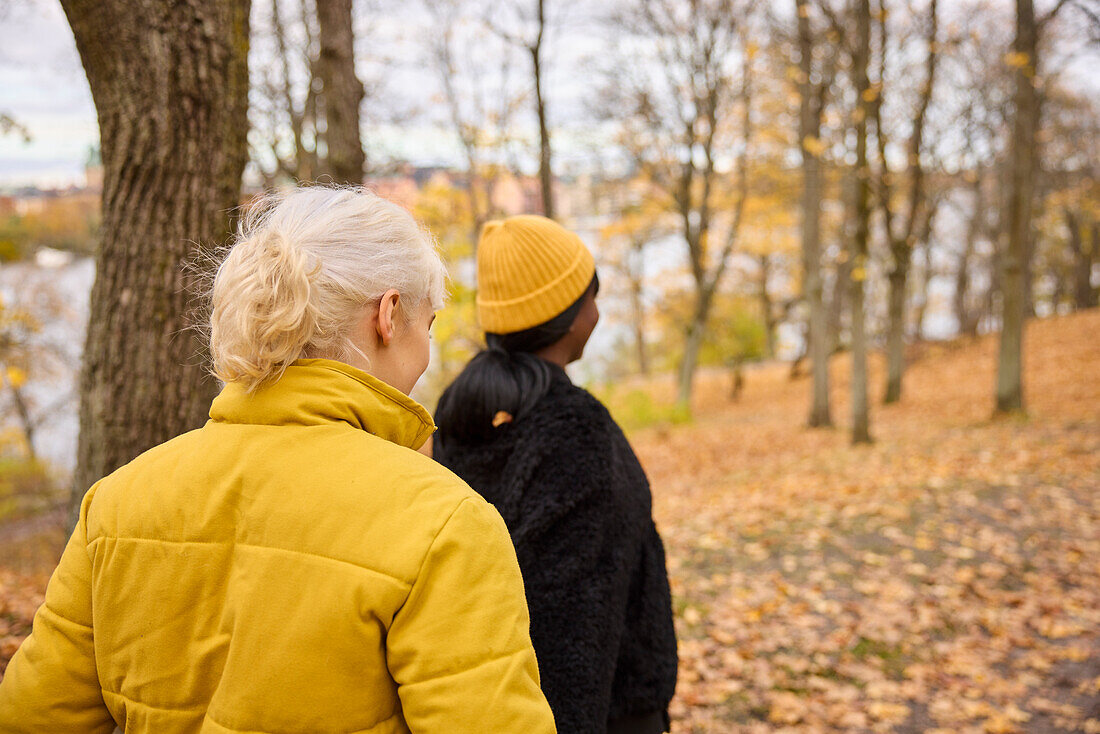 Female friends having autumn walk together