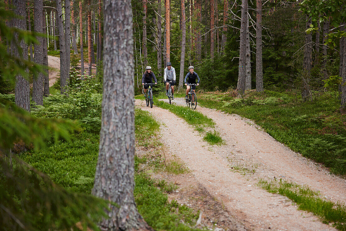 View of people cycling through forest