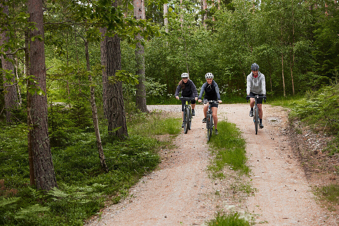 Blick auf Menschen, die mit dem Fahrrad durch den Wald fahren