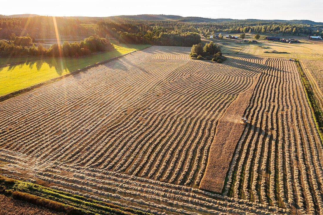 Aerial view of field during harvest