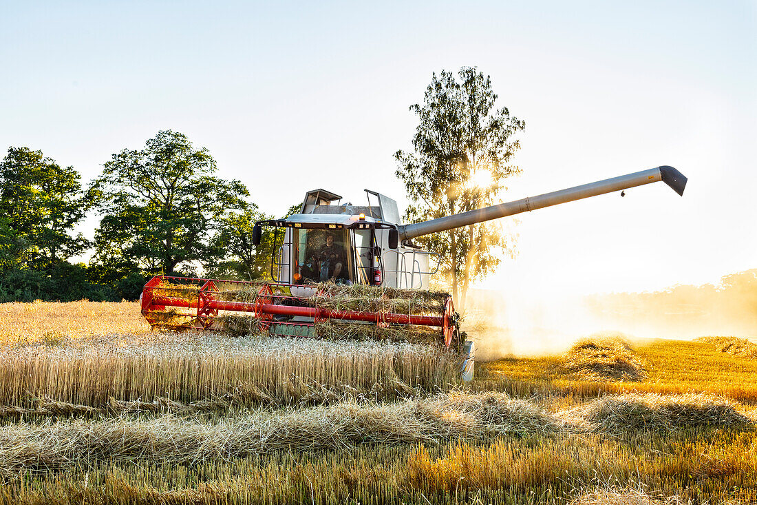 Combine harvester working in field