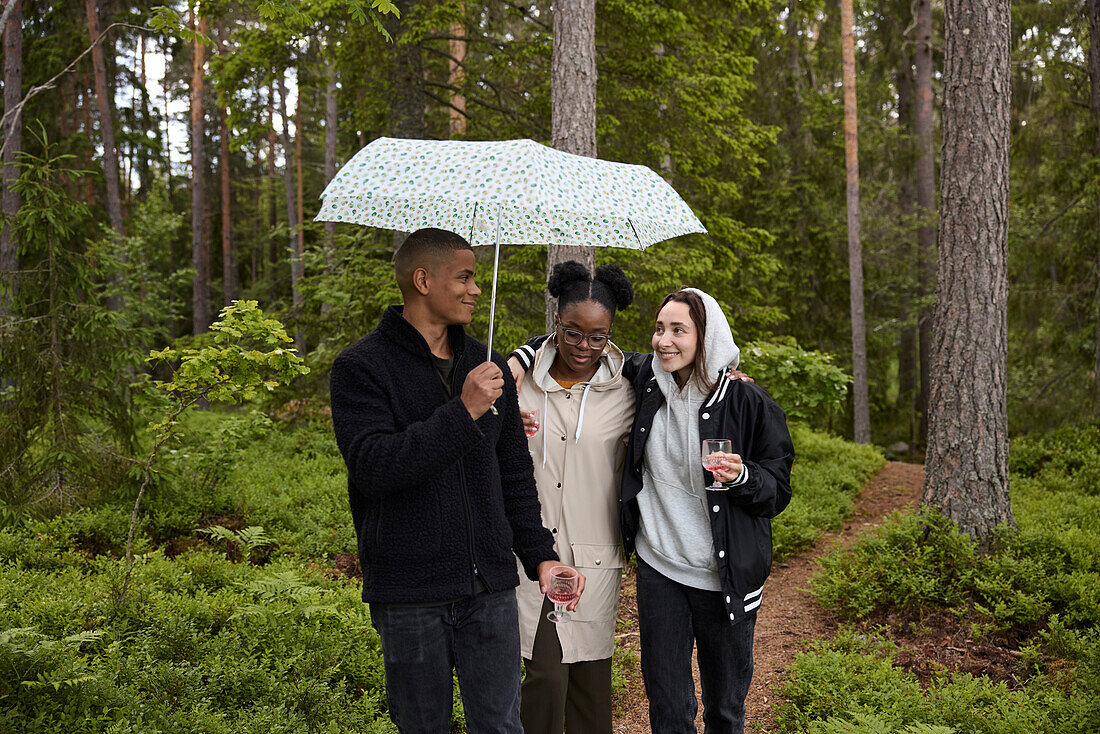 Freunde spazieren durch den Wald