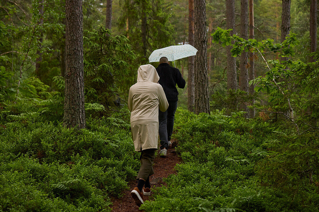 Rückansicht von Menschen, die durch den Wald gehen