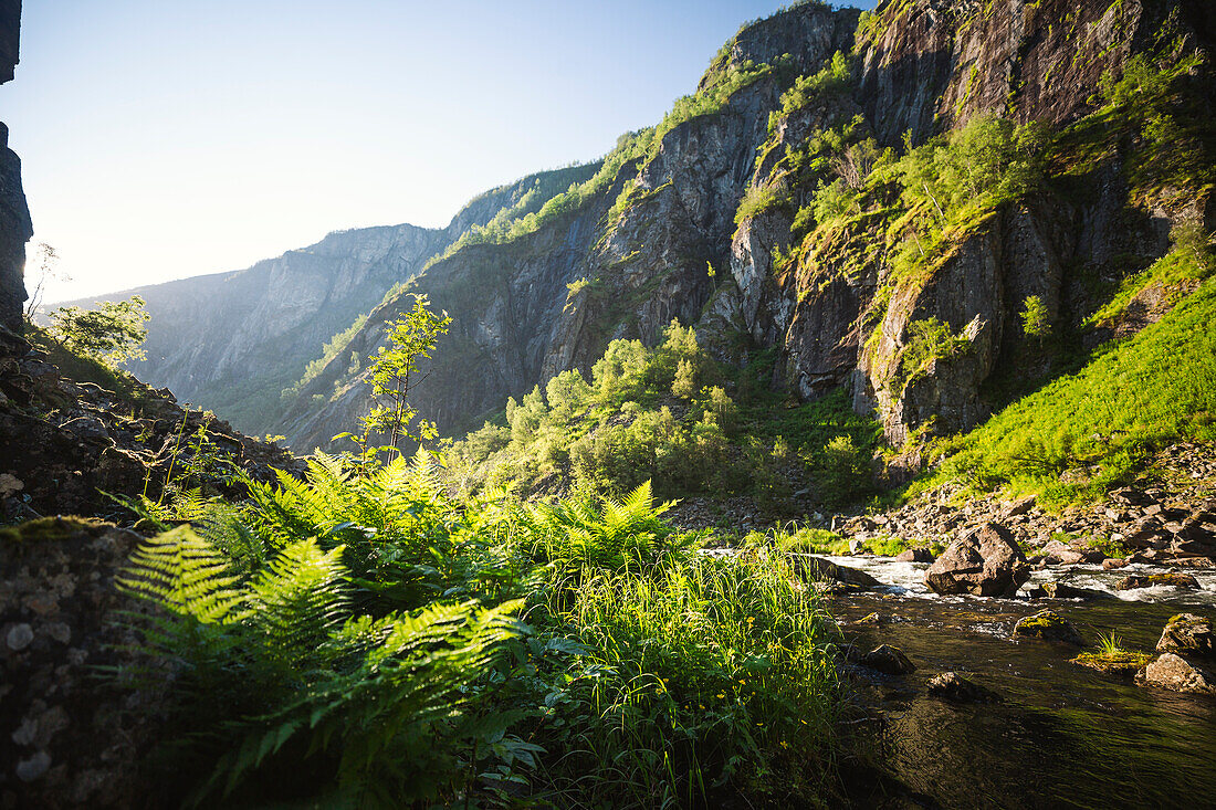 View of mountains at spring