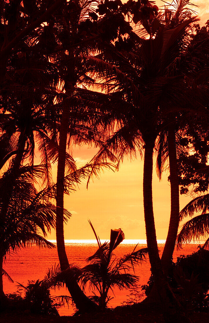 Guam, USA Territory. Palms and sunset near Hagatna capital