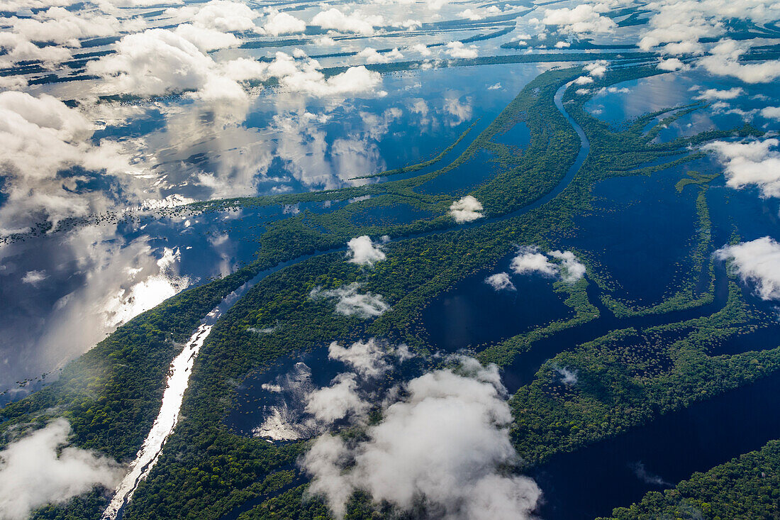 Luftaufnahme des Amazonasbeckens, Manaus, Brasilien