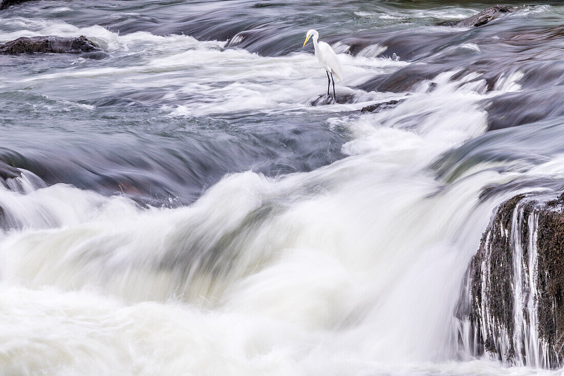 Brazil, Iguazu Falls. Landscape of waterfalls