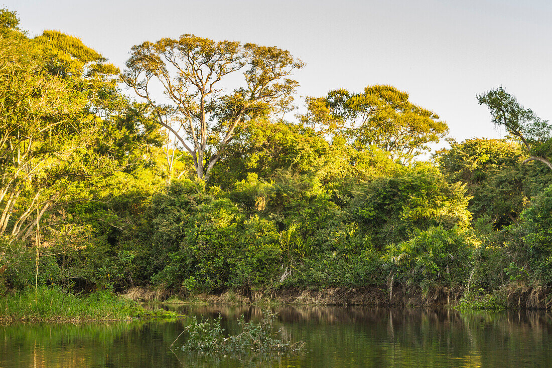 Brazil, Pantanal. Cuiaba River landscape