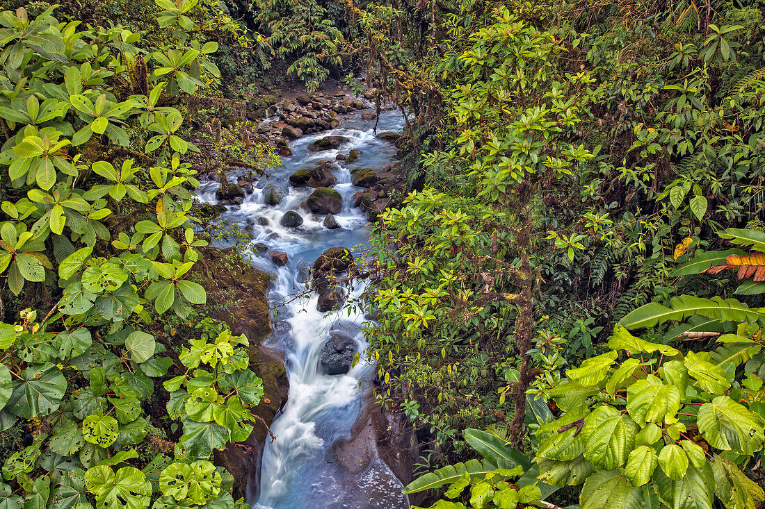 Kleiner Fluss oder Bach, Costa Rica