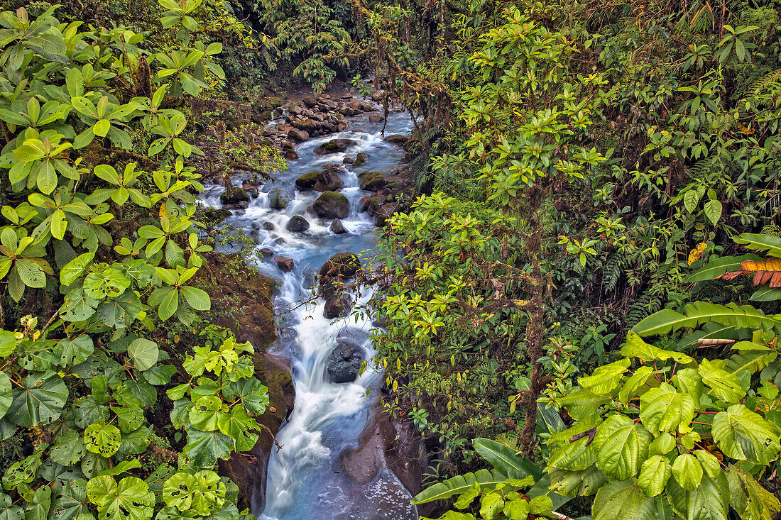 Small stream or creek, Costa Rica