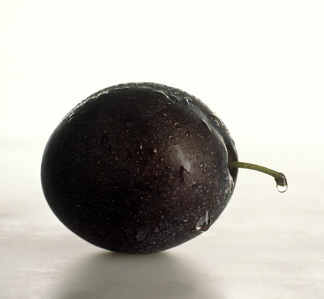 A Single Plum with Water Drops