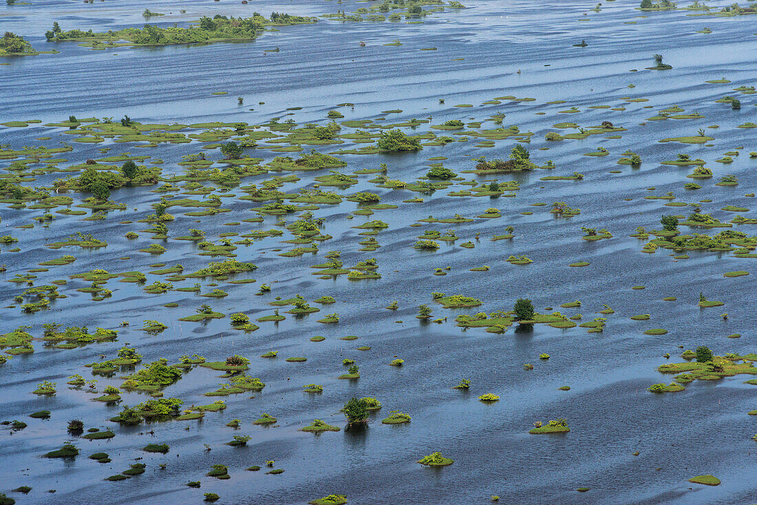 Wetland Shell Beach, North Guyana