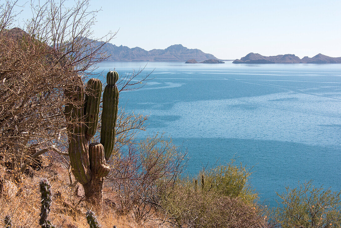 Mexico, Baja California Sur, Sea of Cortez, Loreto Bay.