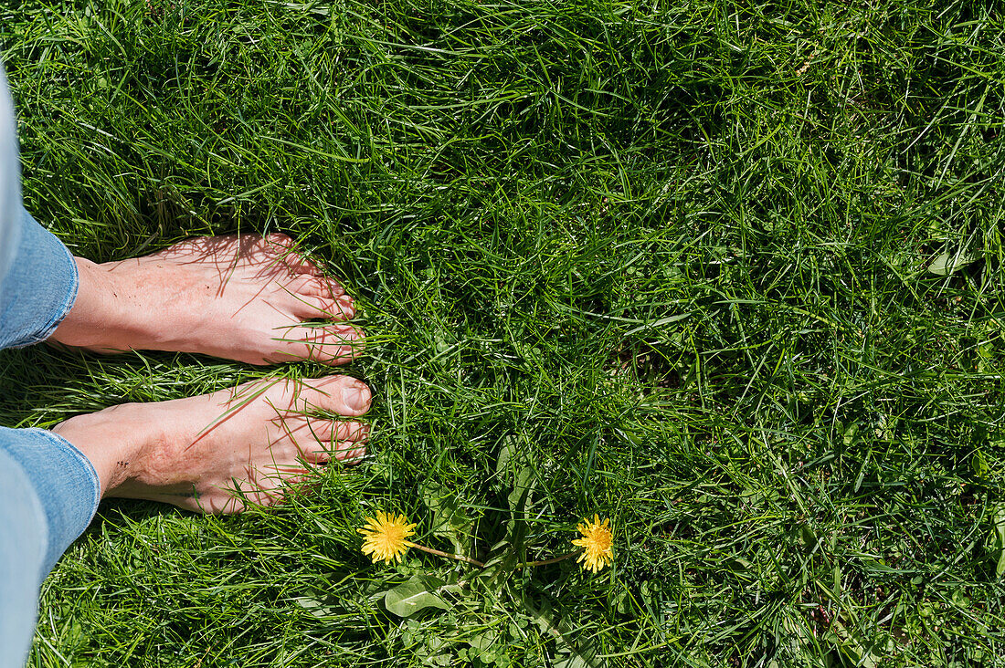 Nackte Füße einer Frau, die im üppigen grünen Gras steht