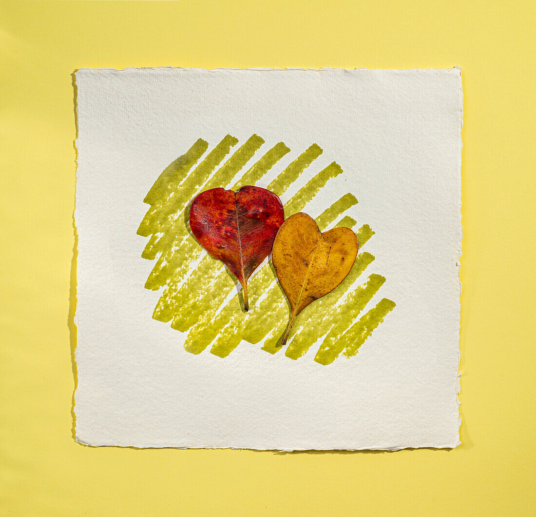 Two leaves in shape of heart on watercolor paper