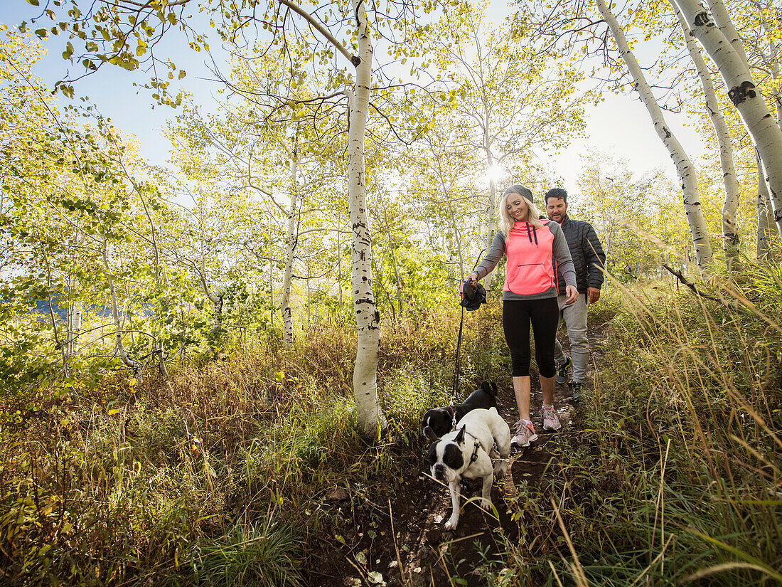 Paar mit zwei Hunden beim Spaziergang im Wald