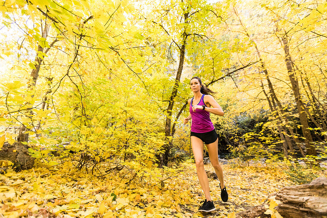 Woman jogging in Autumn forest