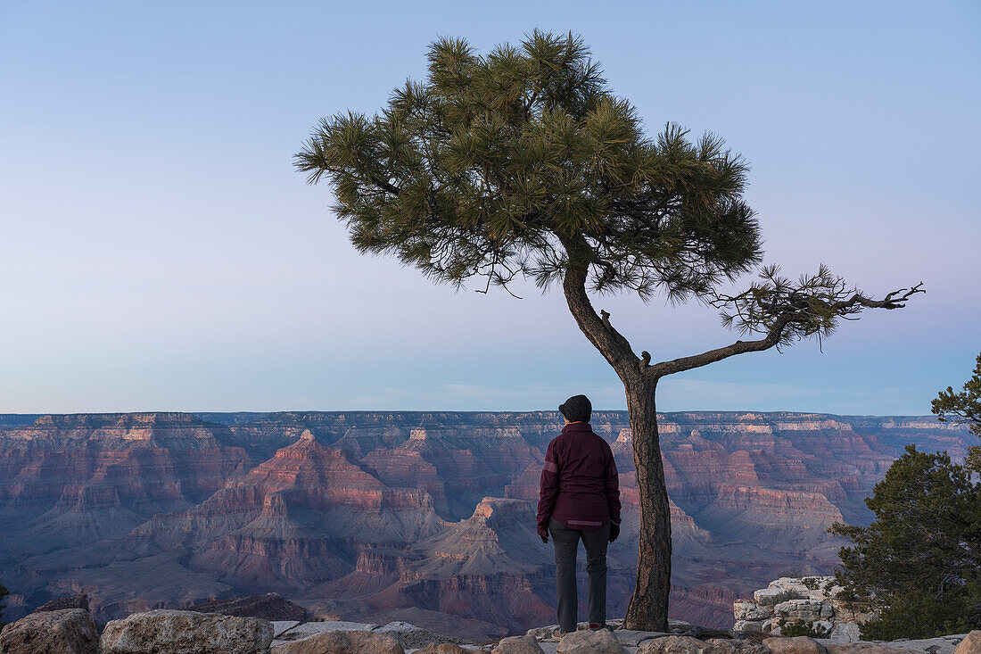 Vereinigte Staaten, Arizona, Grand Canyon National Park, South Rim, Ältere Wanderin unter Baum stehend