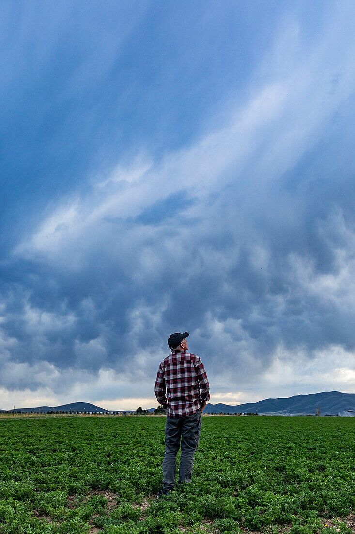 Rückansicht eines Landwirts auf einem Feld unter Gewitterwolken