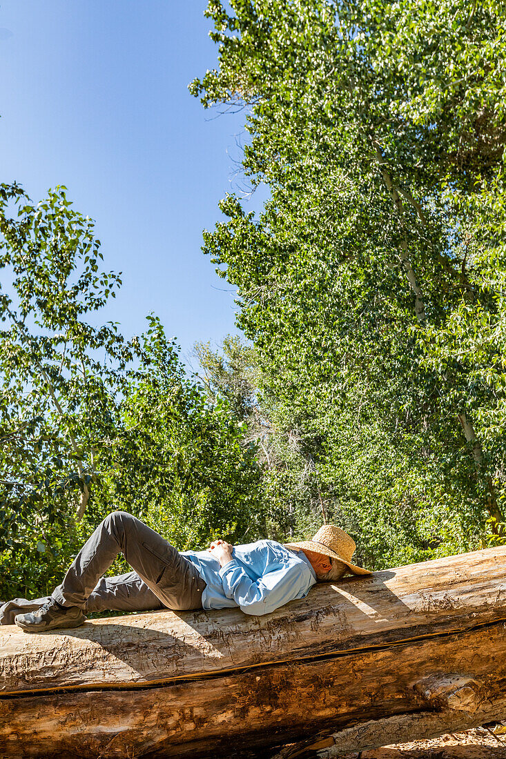 USA, Idaho, Bellevue, Mann mit Strohhut im Gesicht schläft auf einem umgestürzten Baum in einer Landschaft 