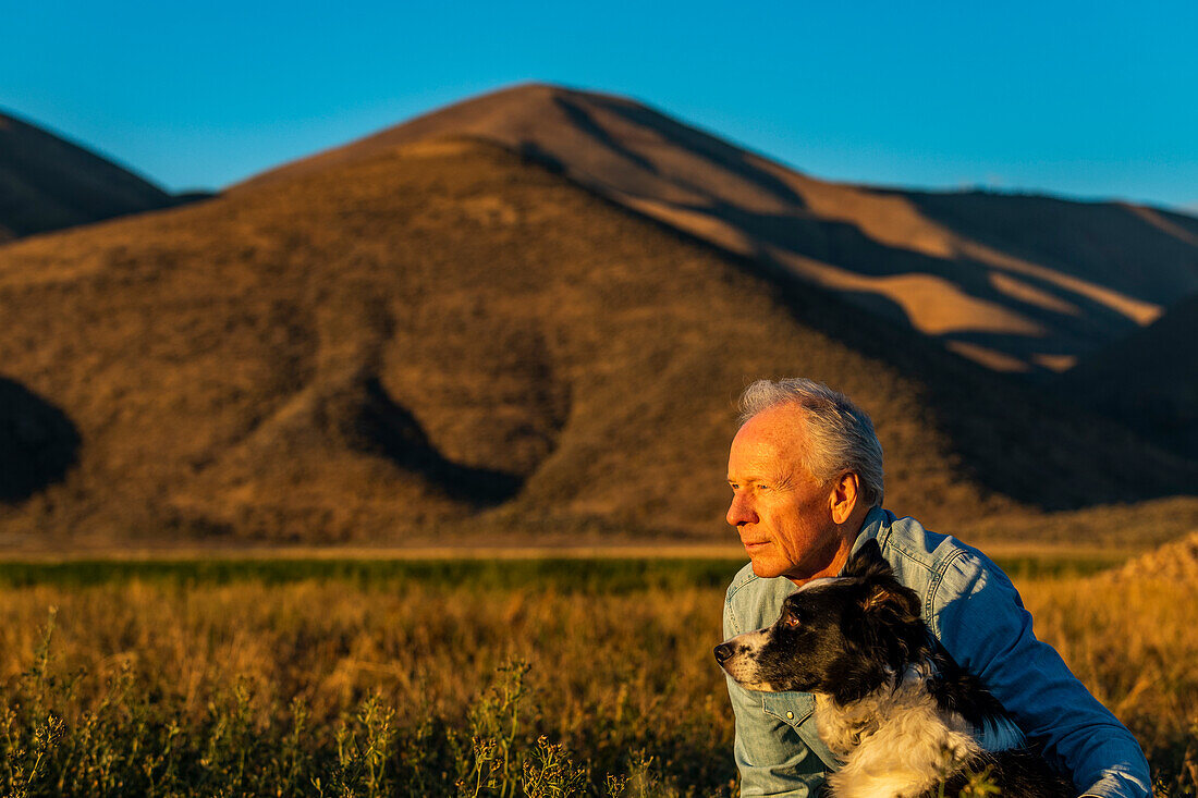 USA, Idaho, Bellevue, Senior man with border collie in field at sunset