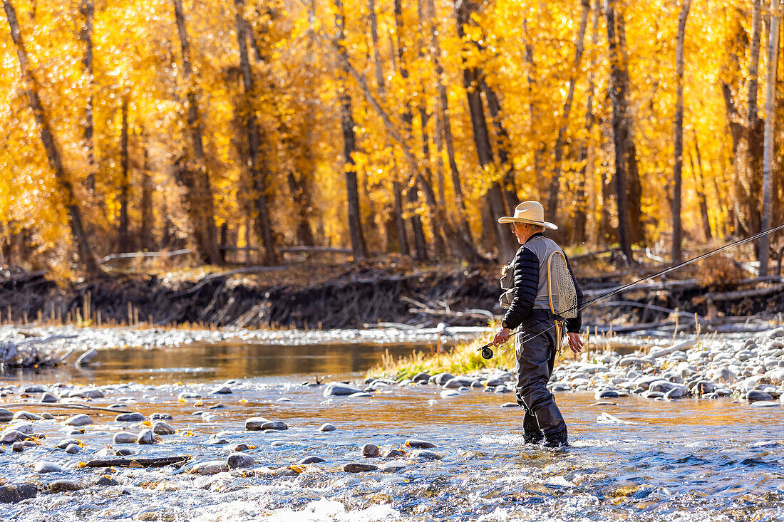 USA, Idaho, Bellevue, Senior fisherman wading in Big Wood River in Autumn