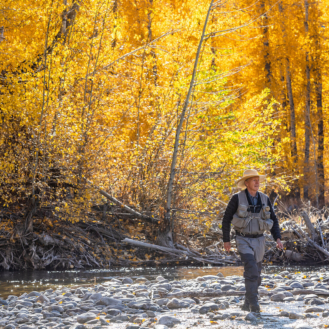 USA, Idaho, Bellevue, Älterer Angler watet im Big Wood River im Herbst