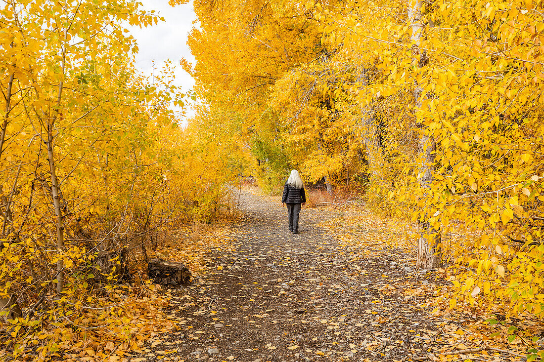 USA, Idaho, Bellevue, Rückansicht einer Frau, die auf einem Fußweg im Herbstwald geht