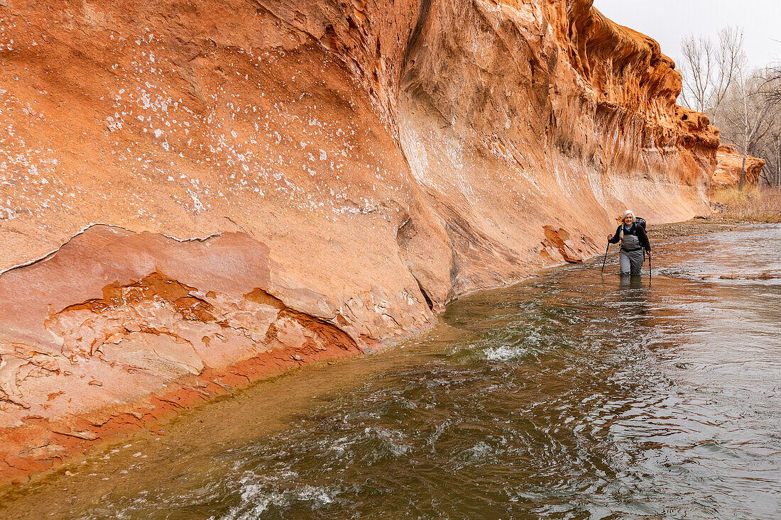 USA, Utah, Escalante, Frau watet durch den Escalante-Fluss im Grand Staircase-Escalante National Monument