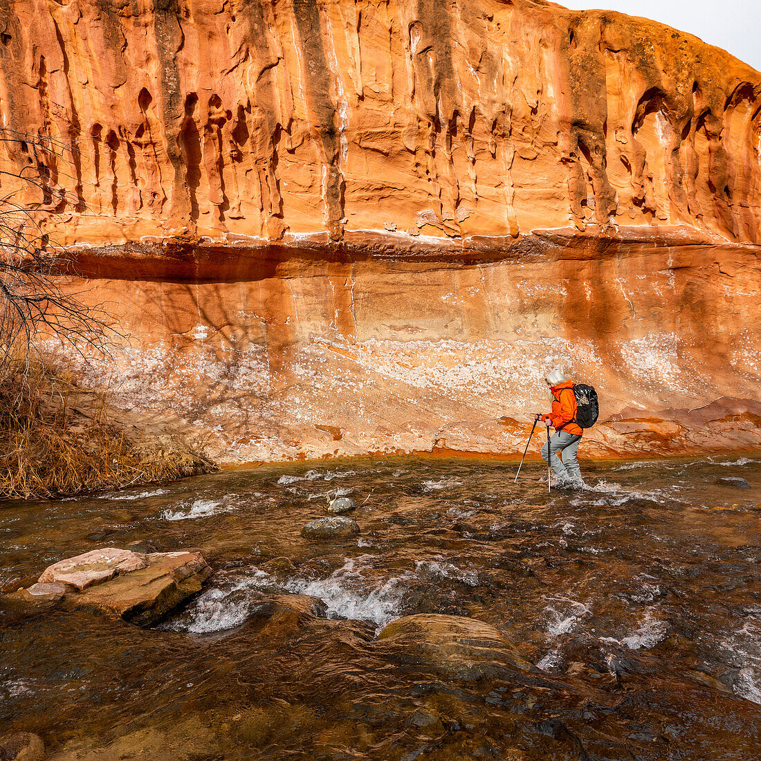 USA, Utah, Escalante, Frau watet durch den Escalante-Fluss im Grand Staircase-Escalante National Monument